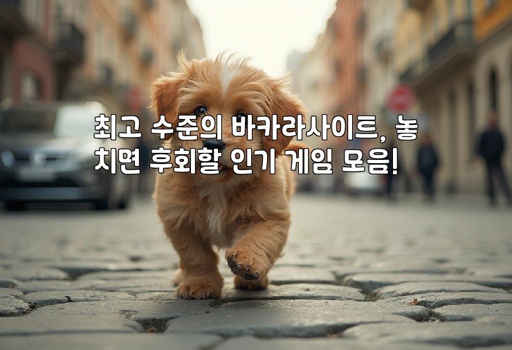 최고 수준의 바카라사이트, 놓치면 후회할 인기 게임 모음!